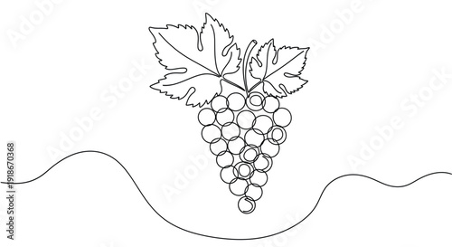 Grape cluster with leaves, minimalist single line art
