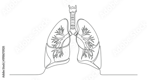 Human lungs with trachea in minimalist line drawing