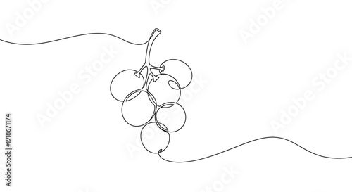 Single line drawing of a bunch of grapes on a vine