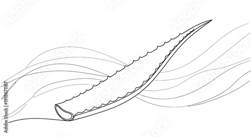 Aloe vera leaf with wavy lines, single line illustration