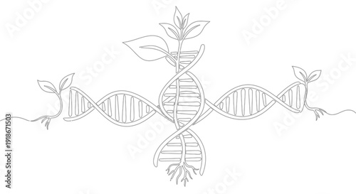 DNA helix with growing plants and roots, single line art, biotechnology concept