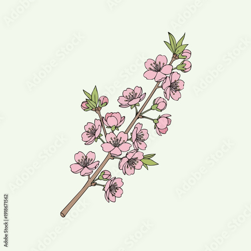 Smart Home Automation System Illustration with Connected Devices and Mobile App Control for Modern Intelligent Living Experience