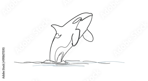 Orca whale breaching water, single line art, marine life and ocean concept