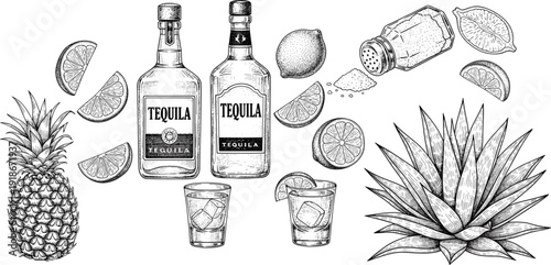 Tequila bottle lime agave pineapple hand drawn vintage engraving illustration set mexican alcohol drink citrus salt shots vector collection artwork