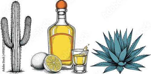 Tequila bottle with agave plant cactus lime and shot glass vintage engraving illustration, mexican alcohol drink hand drawn vector artwork
