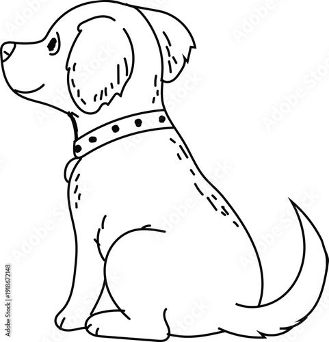 Cute dog with collar sitting and looking up