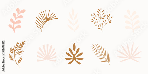Assorted botanical illustrations of delicate branches and foliage designs