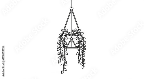 Hanging plant in triangle planter with long leaves on white background