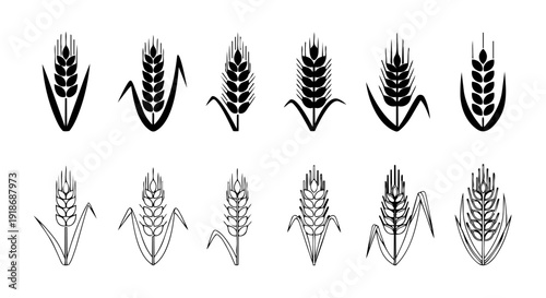 Wheat Ear Icons Vector Set Grain Agriculture Harvest Symbols Collection