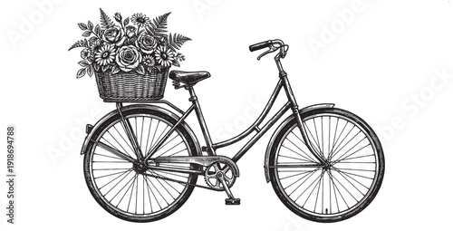 Vintage bicycle with flower basket and collection of tropical potted house plants in black and white ink drawing.