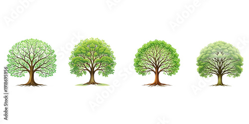 High quality tree group isolated on white background 
