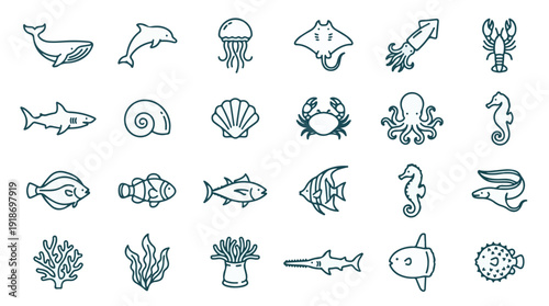 Set of marine life and sea creatures outline icons, underwater animals collection