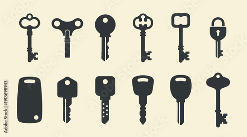 Set of diverse key silhouettes and icons on a light background