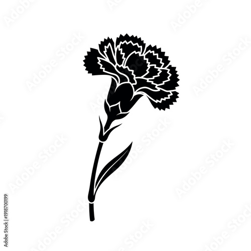 Black silhouette of a single carnation flower.
