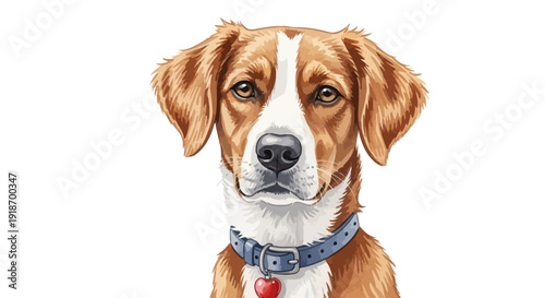 A cute beagle and dachshund puppy portrait featuring a small purebred domestic mammal isolated on a white background for a professional studio canine breed pet animal photography series