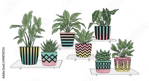 Collection of potted plants on shelves with colorful pots and green leaves indoor gardening decor