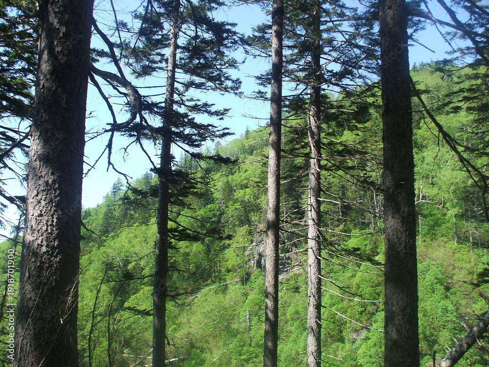 Fototapeta premium Mt.Nuka-dake in spring