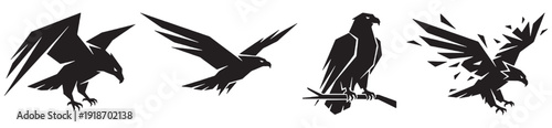 Collection of stylized black silhouettes of eagles and hawks in various dynamic poses, including flight and perched.