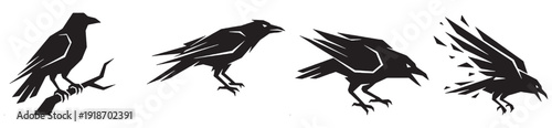 Silhouette of a crow in four different poses, from perched to flying and disintegrating.