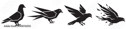 Sequence of a pigeon taking flight, depicted in a stylized, graphic silhouette style.