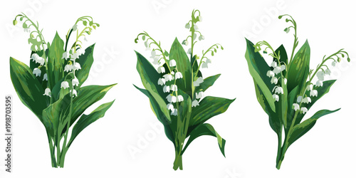 Three delicate bouquets of lily of the valley flowers on white background