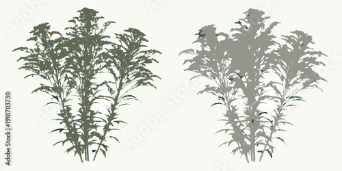 Two stylized cannabis plants with differing color saturation are displayed