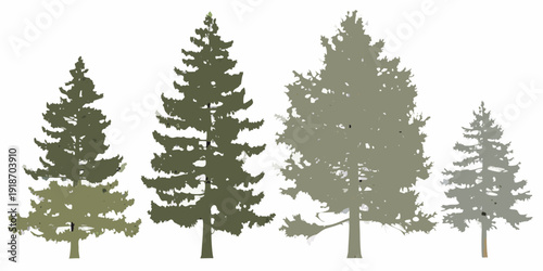 Four evergreen trees stand together in a minimalist illustration