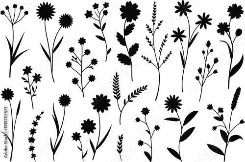 Wildflower botanical silhouette collection on white background, black floral stems and garden plants isolated, nature design elements for spring wedding decor,