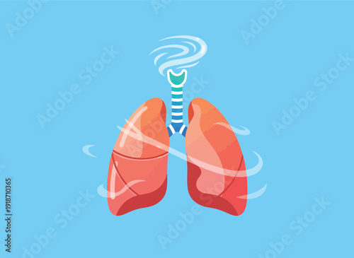 Illustration of Human Lungs Depicting Respiration and Respiratory System.