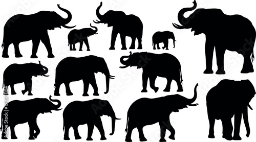 Collection of elephant silhouettes in various poses