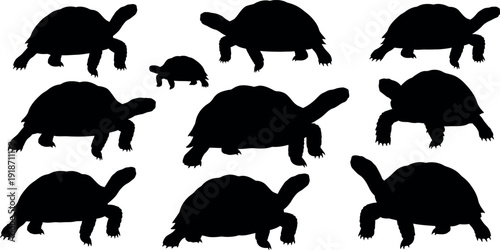 Collection of turtle silhouettes in various poses and sizes