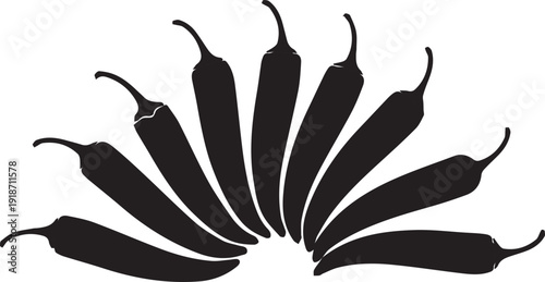 Chili peppers arranged in a fan shape, food illustration, vector