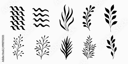 Collection of stylized black botanical illustrations and leafy branches