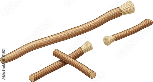 Miswak sticks provide a natural and traditional method of oral hygiene, often used as an alternative to modern toothbrushes.