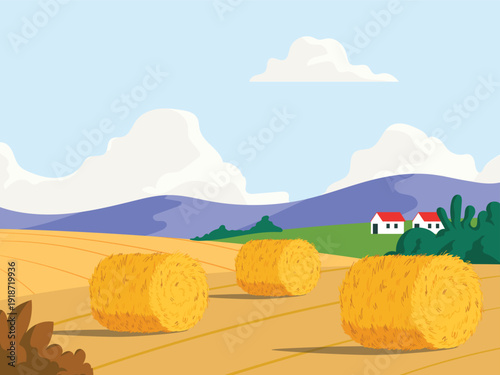 Wheat field landscape after haymaking, summer countryside view