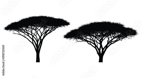 Two umbrella thorn acacia trees in a stark black and white illustration