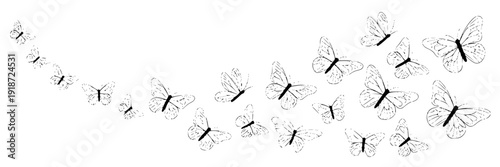 Butterflies flock line art with black and white intricate patterns and wings spread featuring nature, illustration, vector with design and graphic elements for drawing, sketch projects, clean
