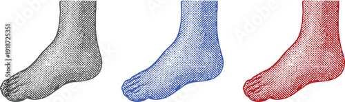 halftone human foot icon isolated on white background, colorful vector illustration of foot anatomy with dot shading for podiatry, medical, and health concepts.