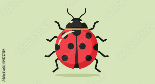 A red ladybug with black spots stands on a green background viewed from above in a simple vector illustration style