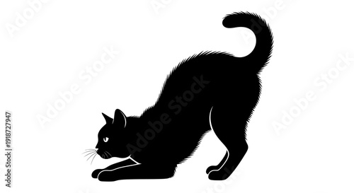 Black cat silhouette in a stalking position, illustration of a feline animal, front view