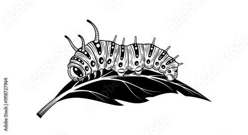 Caterpillar resting on a leaf in a serene garden scene viewed from the side