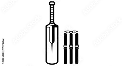Cricket bat and stumps illustration on a plain background viewed from the front