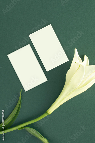 백합과 명함 목업