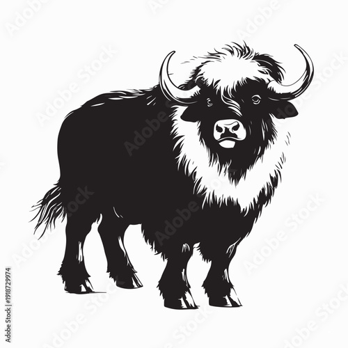 Musk Ox Arctic Animal Vector Illustration Wildlife Graphic Design