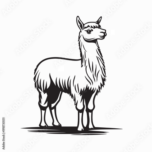 Cute Alpaca Llama Logo Vector Design on White Background