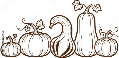 Pumpkins and squash Isolated on Transparent Background