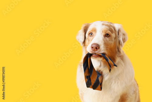 Funny business Australian S...