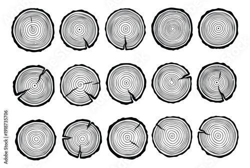 Hand drawn line art wood slices set featuring tree growth rings and bark textures for nature, forestry, and woodworking projects
