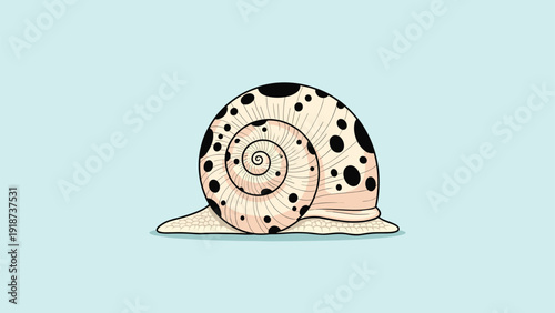 Snail shell illustration features a beautiful spiral shape and dark spots on a light cream surface with a soft blue background base.