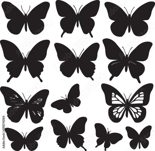 Butterfly Silhouette Insect Icon Set